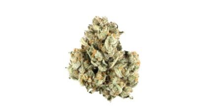 Buy Berry Pie Strain Online