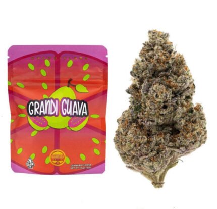 Grandi Guava strain